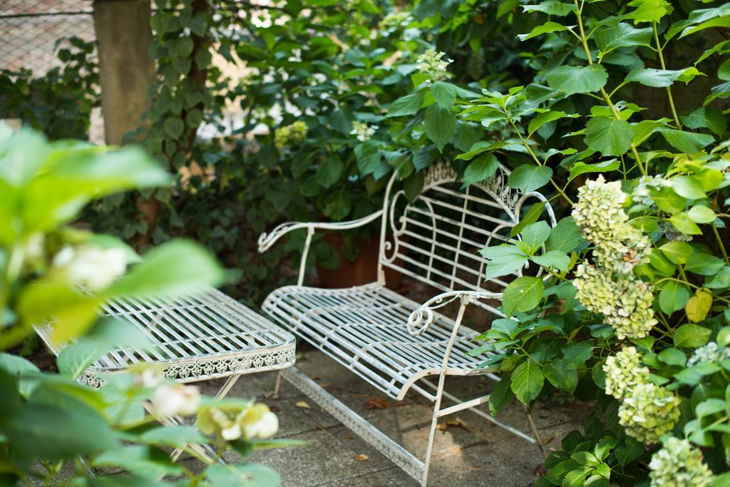 Le Ortensie Di Via Rossetti Bed & Breakfast Trieste Eksteriør bilde